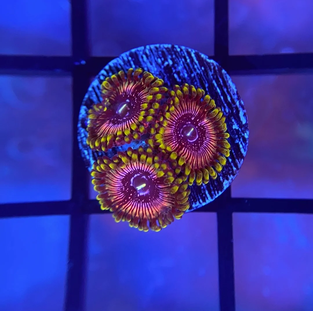 1753251210134.png