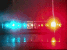 1754003548965.gif