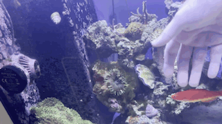 1755290071499.gif
