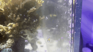 1757941242582.gif