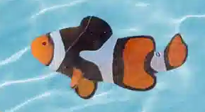 1758666972325.png