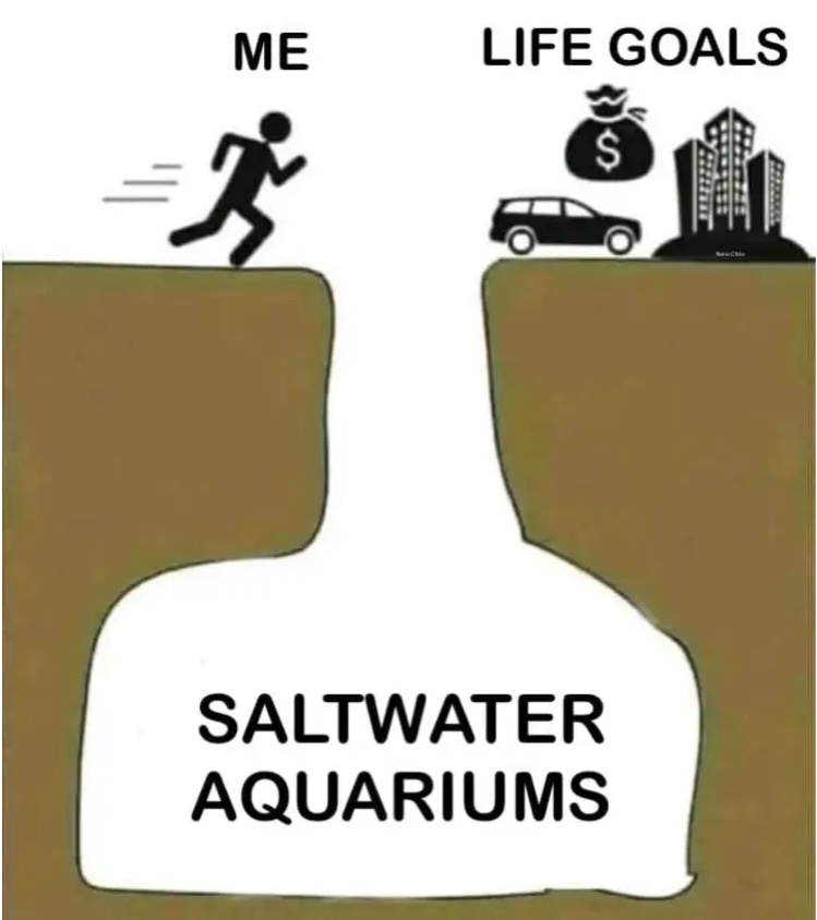 1759117290308.jpeg