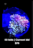 1760902977744.png