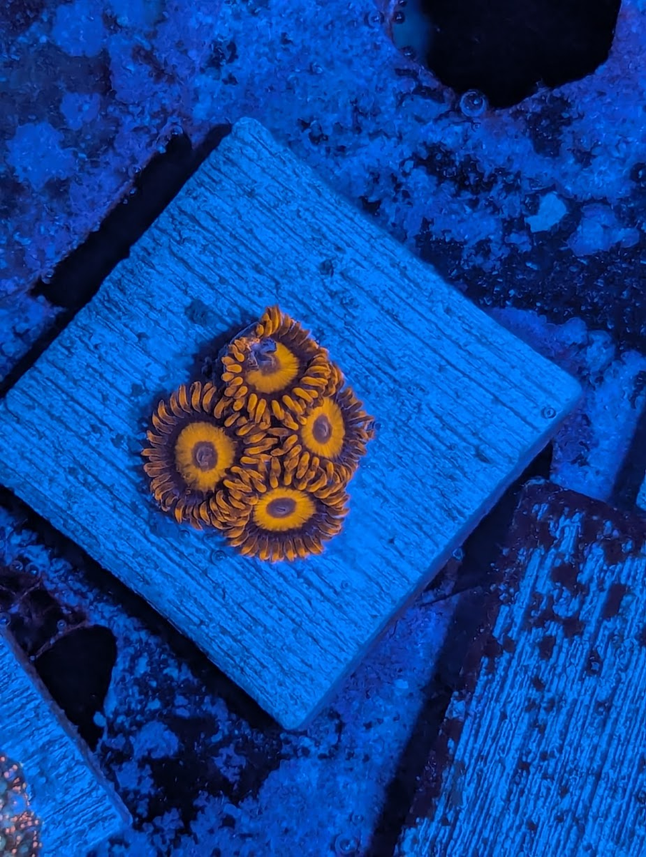 1762889976347.png