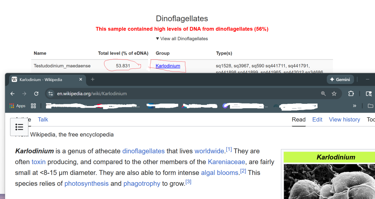 1764446575773.png