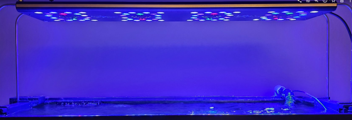 1765751220444.png