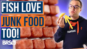 Related video thumbnail
