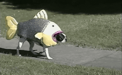 1767380334793.gif