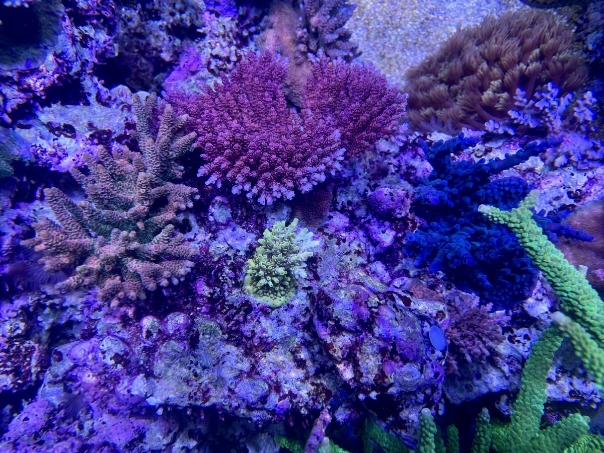 17674592-94CE-4AE4-81E7-C77DBD7A040D.jpeg