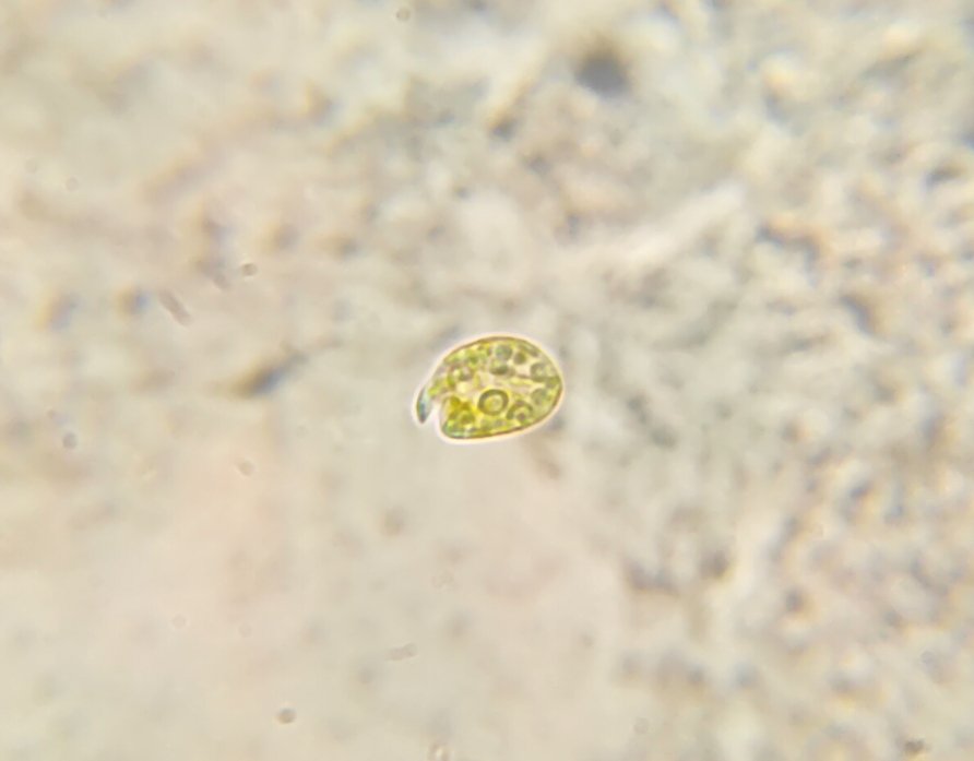 1770572095096.png