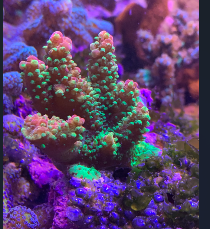 1770664010843.png