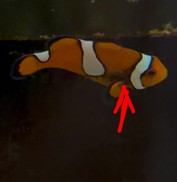 1772305654195.png
