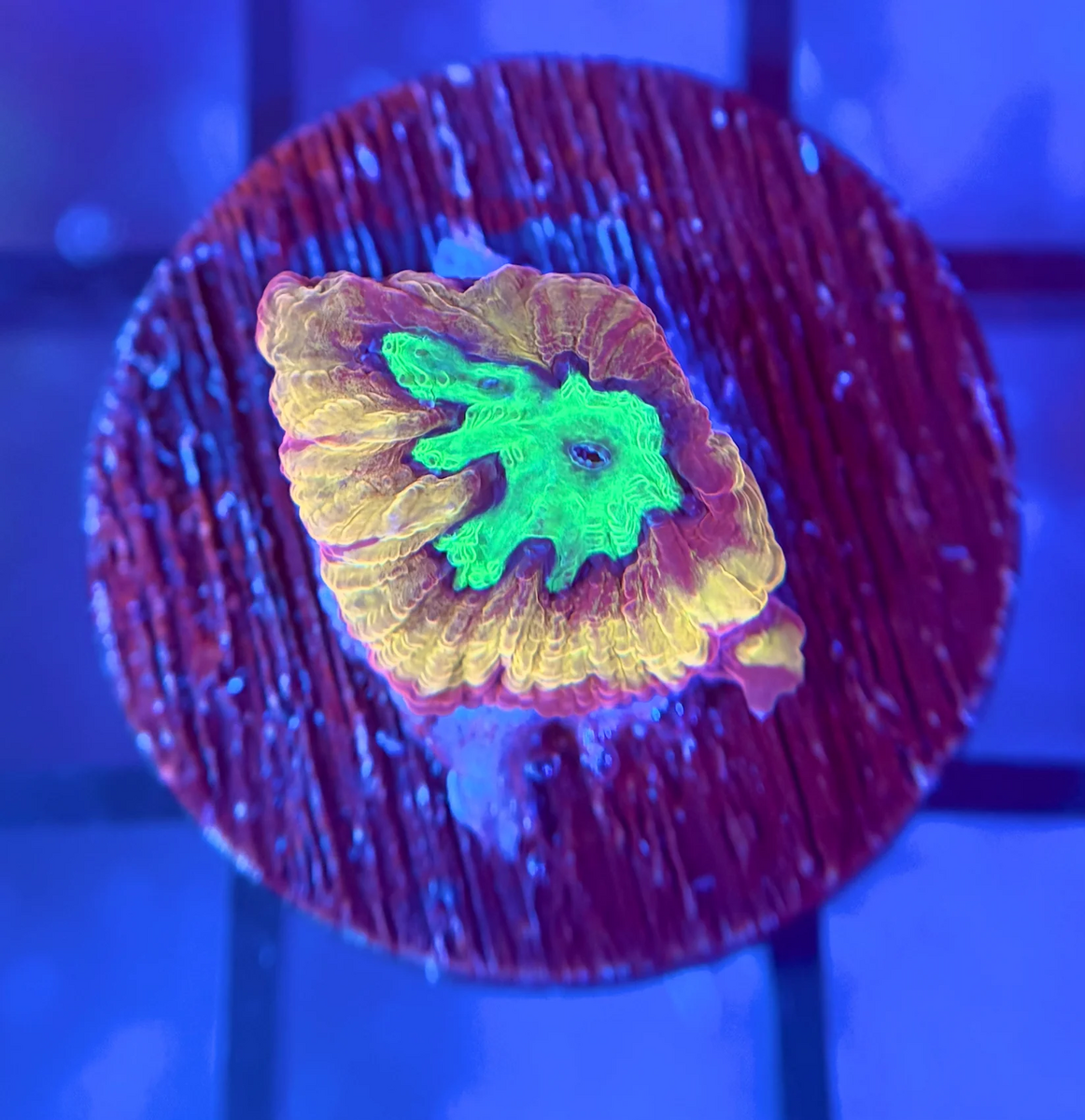 1773101554391.png