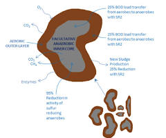 Wastewater treatment optimization with micronutrients