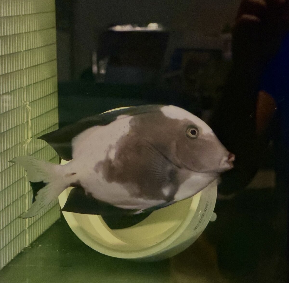 1773888851815.jpeg