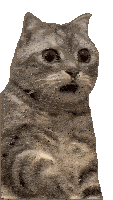1775673374050.gif