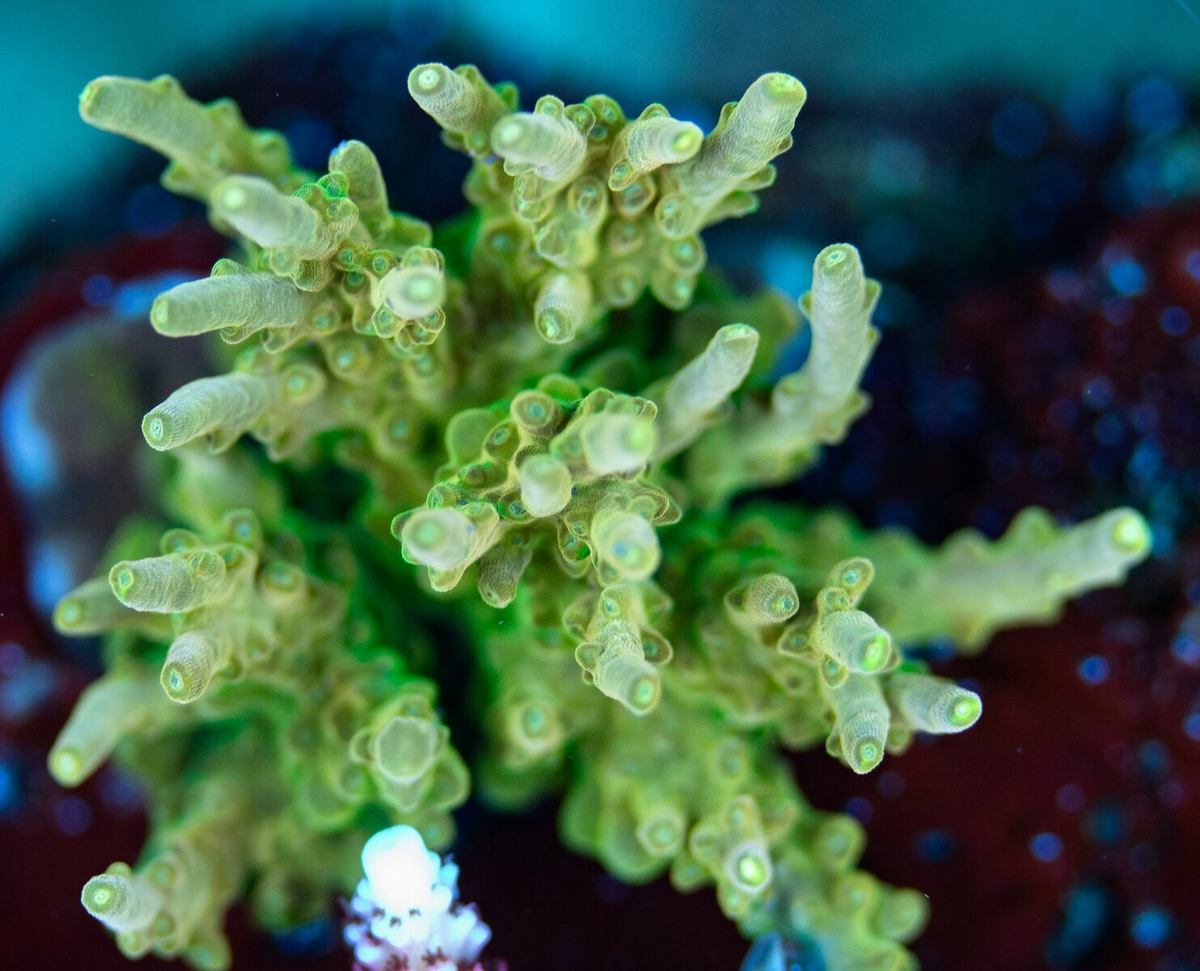 1777888533811.png