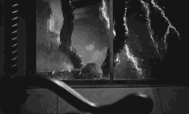 1780263375555.gif