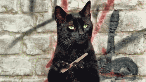 1783894164661.gif
