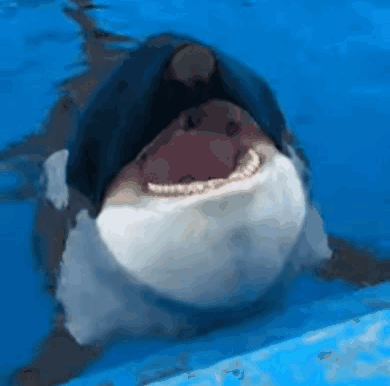 1783900570596.gif