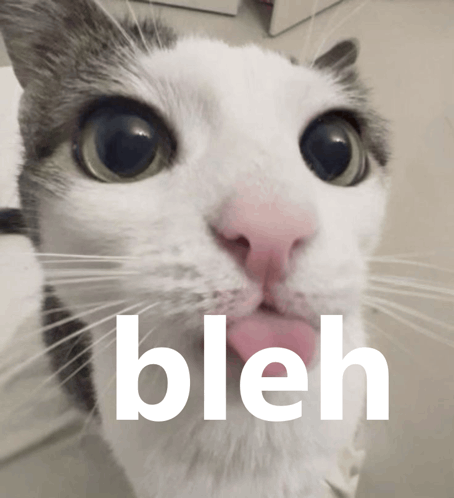 1784231167300.png
