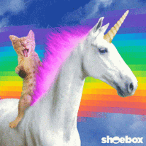 1792597493079.gif