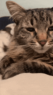 1792840103507.gif