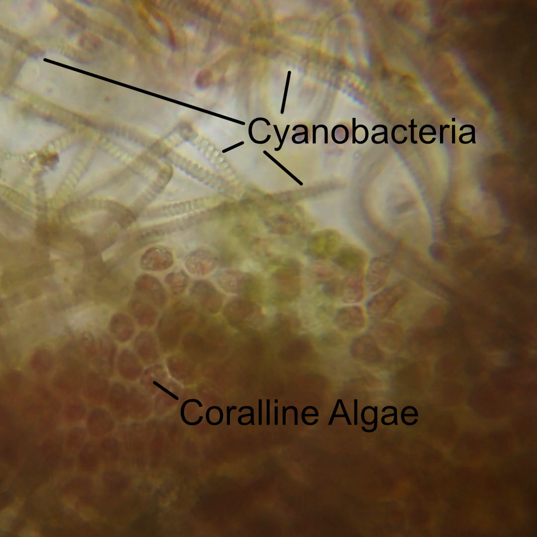 1792960925204.png