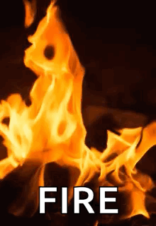 1792995737617.gif
