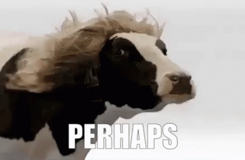 1793022991681.gif