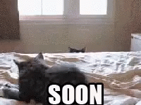 1793065697082.gif