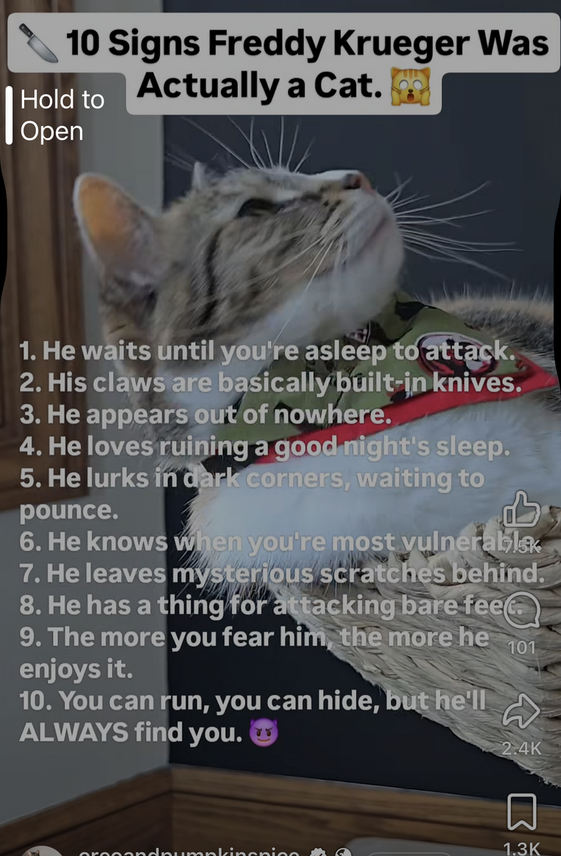 1793070260871.png