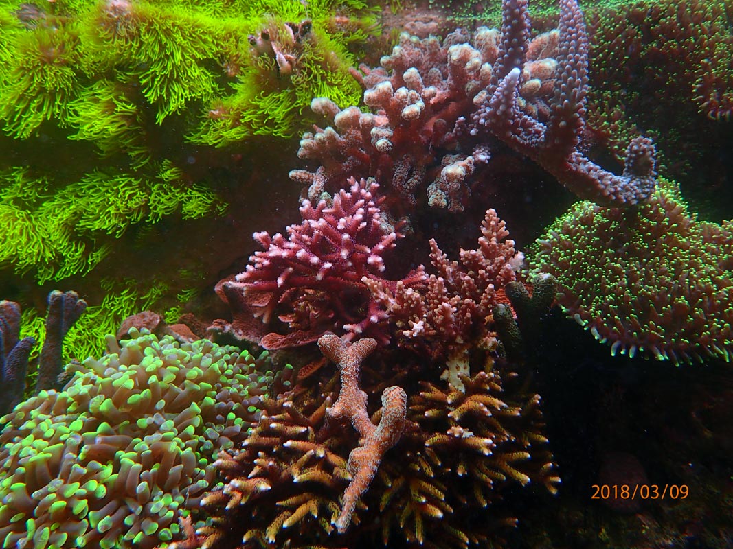 180309-8.jpg