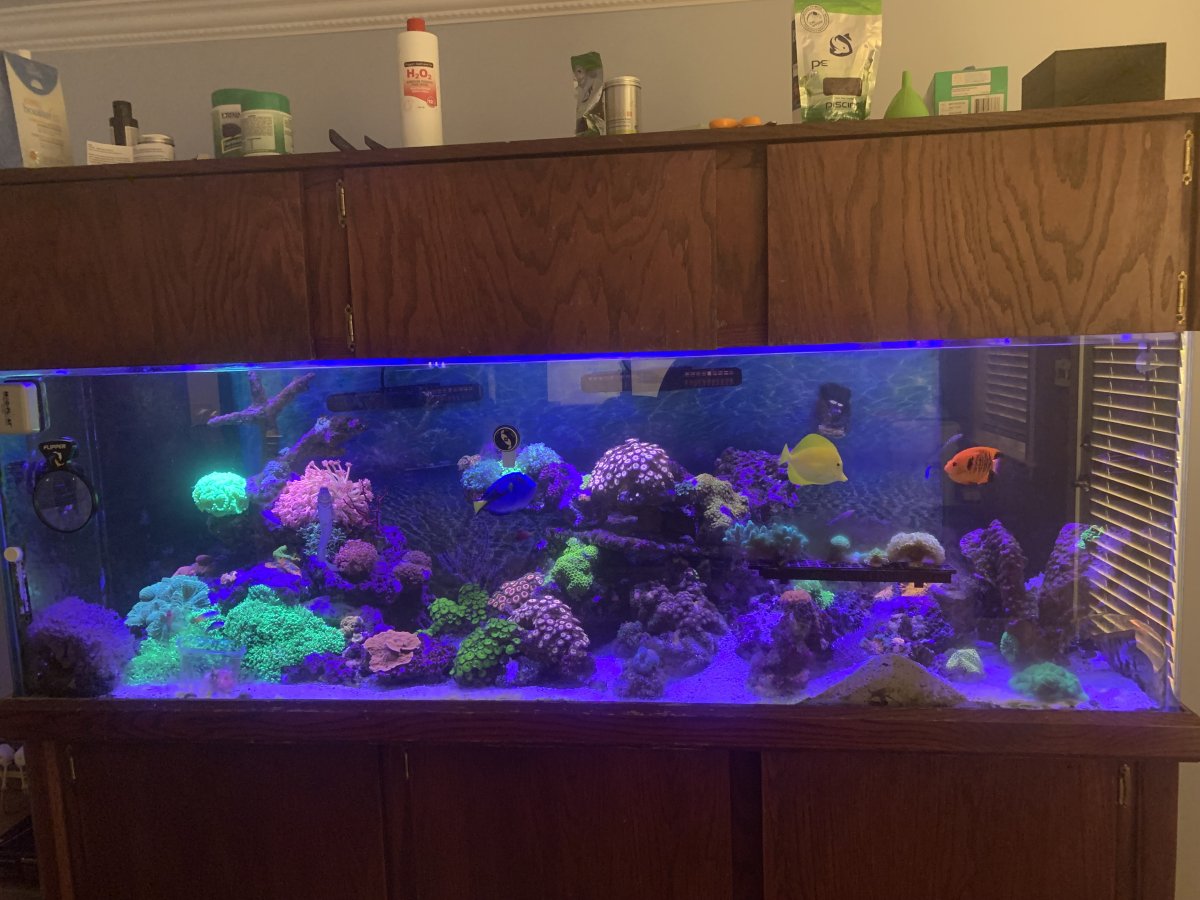 180g whole tank on 2022-09-16.JPG