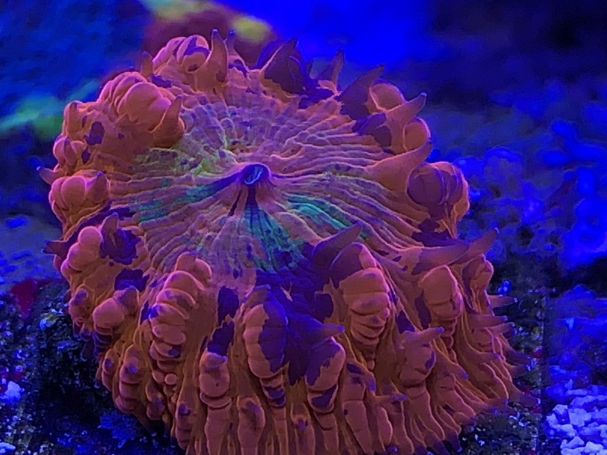 18440535-26F5-4D5F-BB47-23402A9B8F42.jpeg