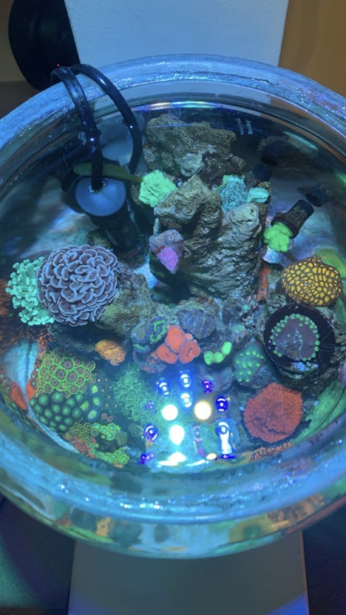 1846C4DA-052D-4F5B-A69A-870137900D06.jpeg