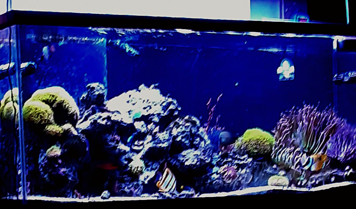 18E84CAD-D956-4D21-8A28-B05E6C04BC01.jpeg
