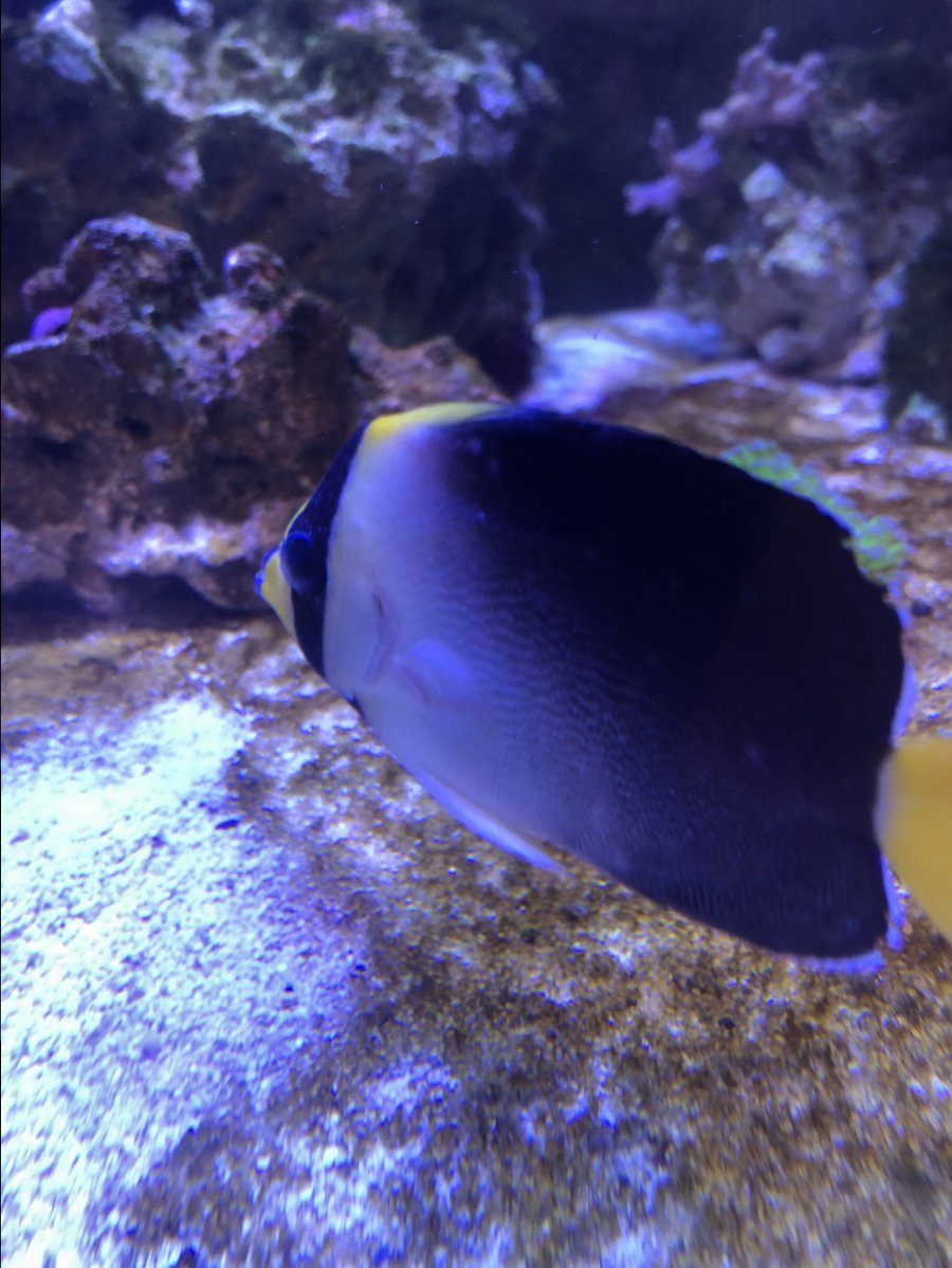 191BC1EB-D1D8-4B13-8ED3-AD280A016EE9.jpeg