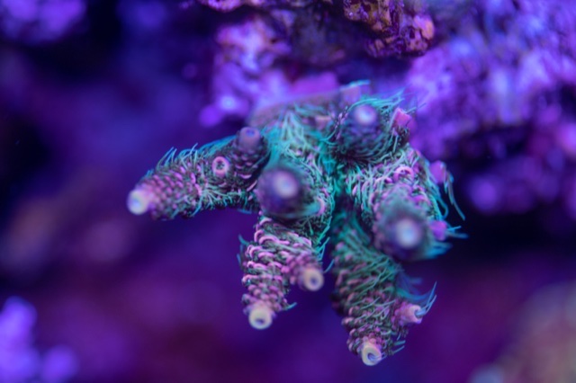19ED81A3-C8FF-4F52-B64D-A9A368FC3084.jpeg