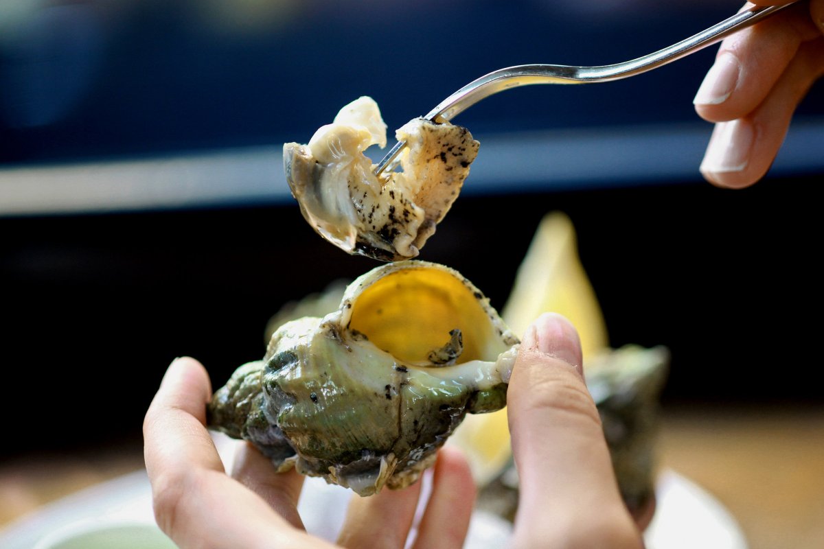 19SUBWHELKS_SPAN-superJumbo-v2.jpg