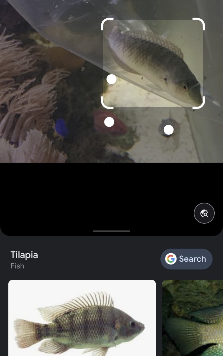 1AAFB6F3-9A2A-4EFF-BF88-D1539E50A902.jpeg