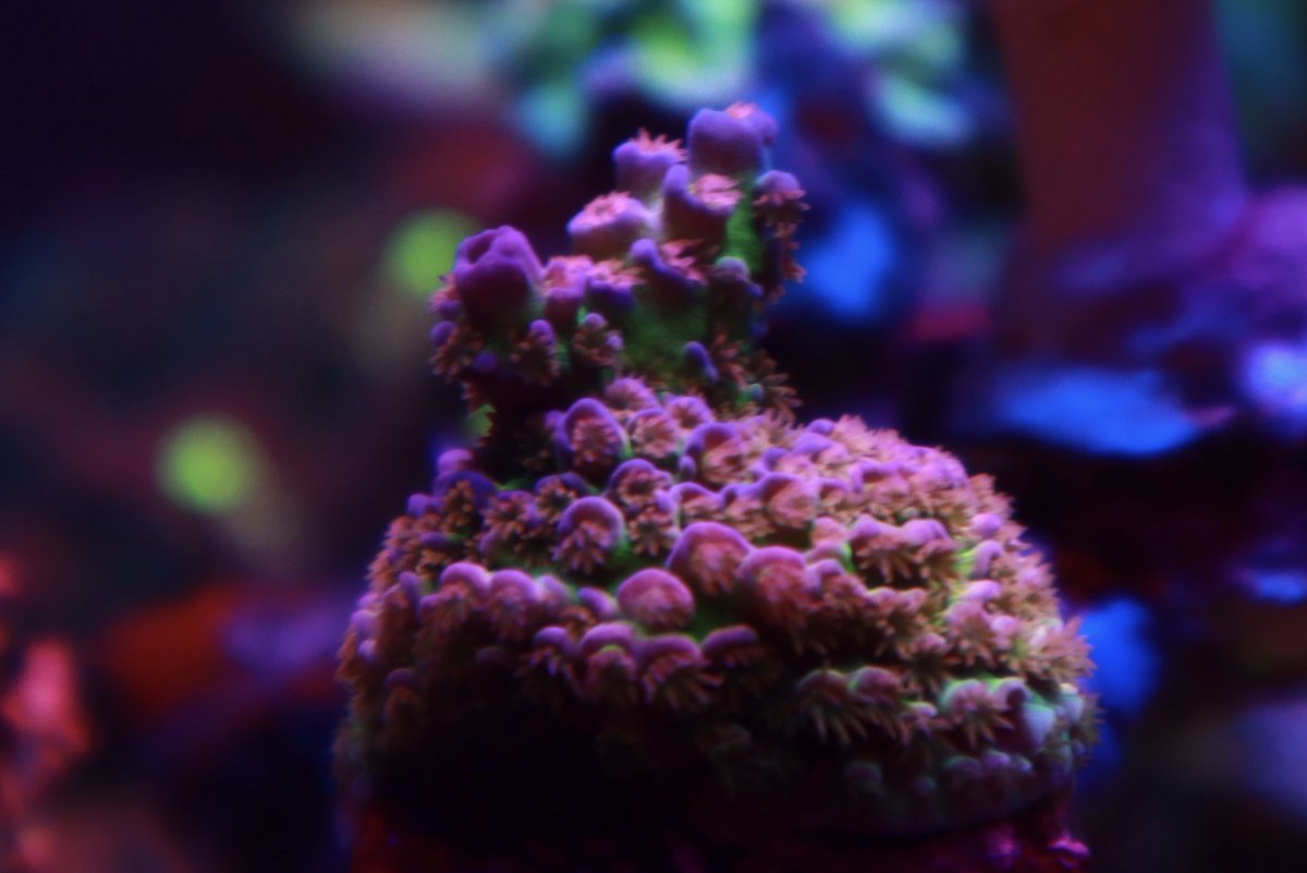 1C693BDA-5014-4D6A-9E4E-8A24D747A033.jpeg