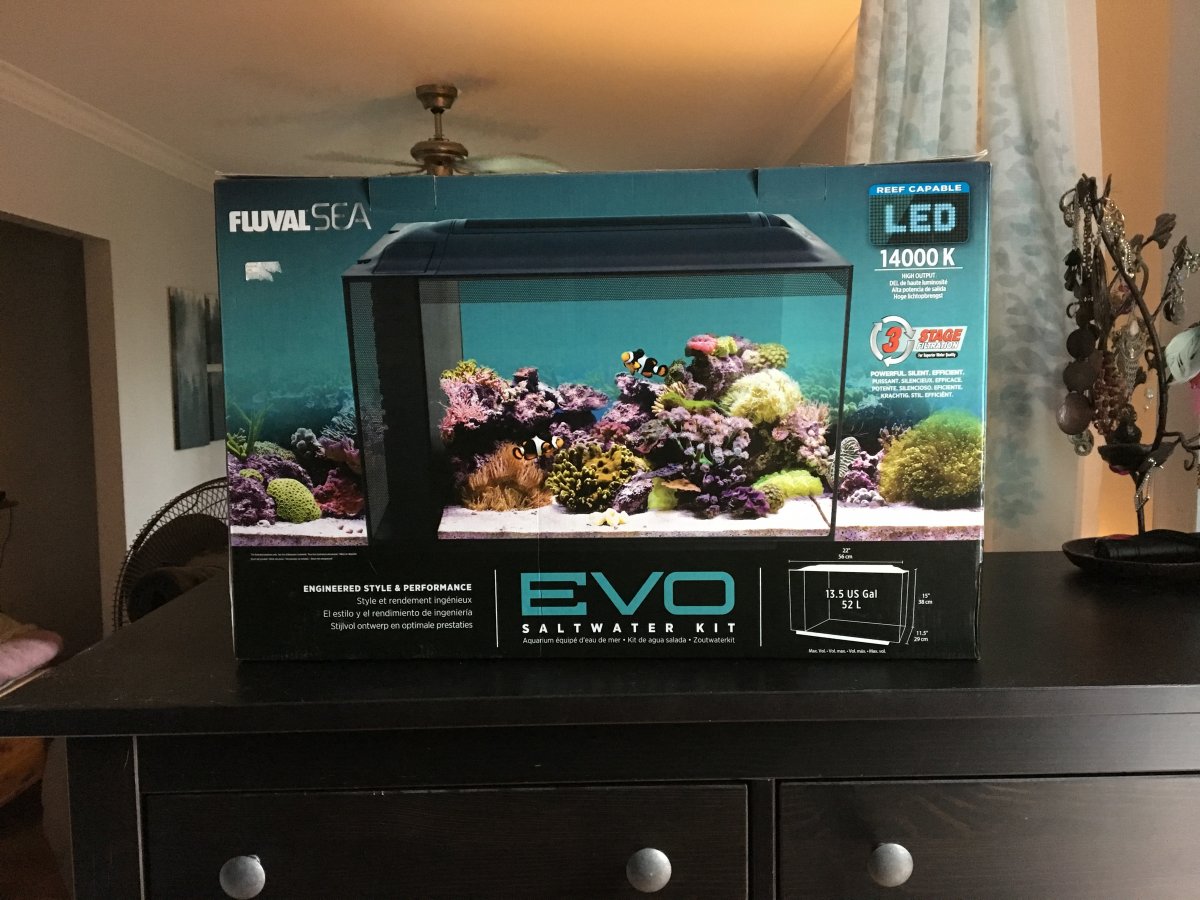 Nano Build - show your fluval evo 13.5 | Page 19 | Reef2Reef