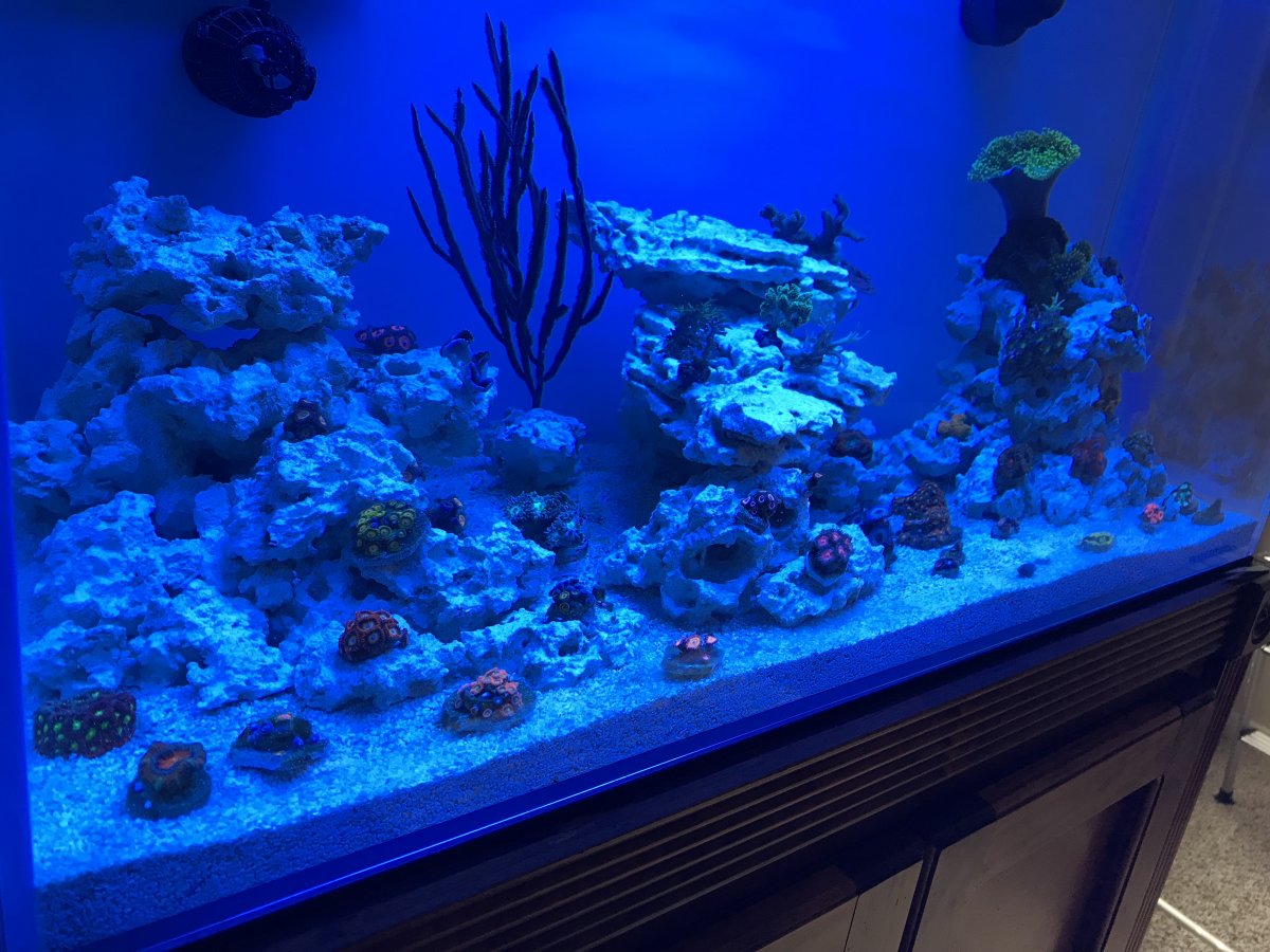 1CE3D555-A56B-4C3B-B341-C8A2AC72A7A7.jpeg