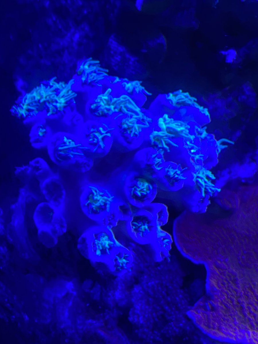 1D31B527-0C27-4E68-9F2C-8AE1B0AEB314.jpeg