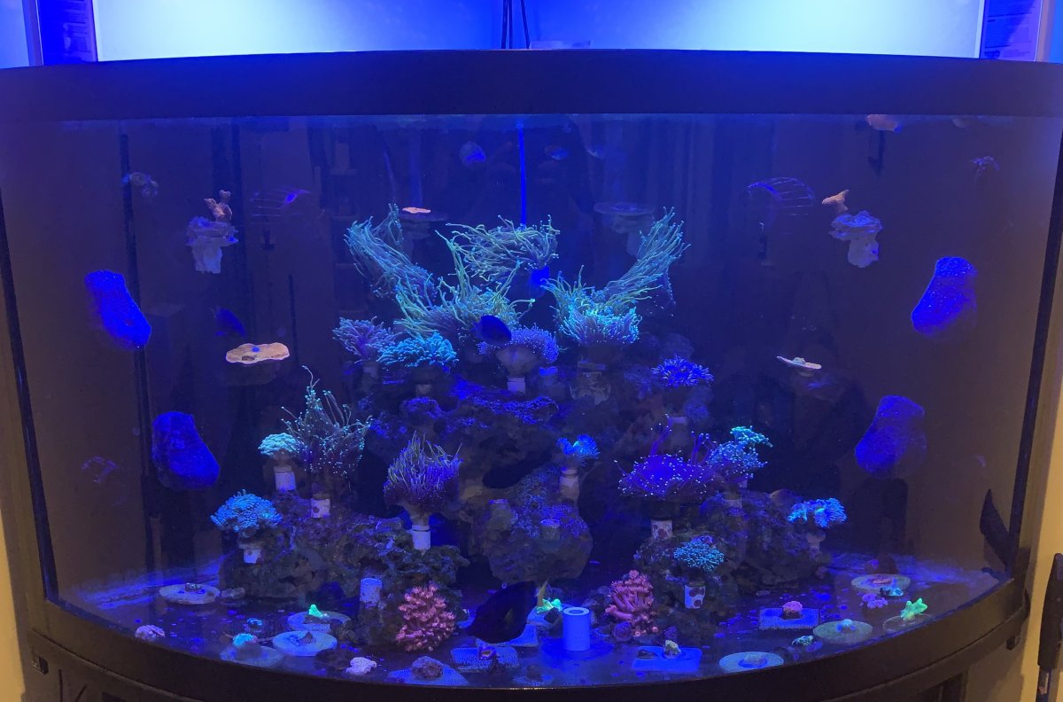 Aqueon 90 gallon aquarium sale