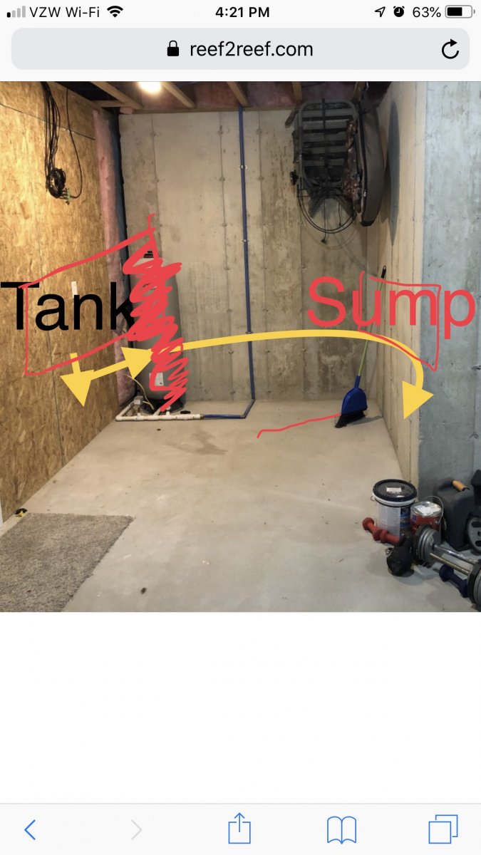 1E8481E6-33A4-492F-A282-C2F505BBAD9F.jpeg