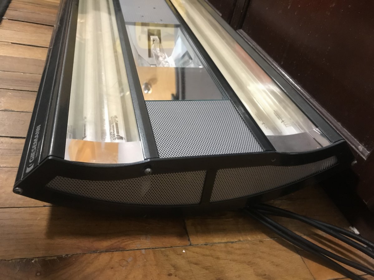 New York - 4 Foot Giesemann Infiniti T5&MH hybrid $450 | Reef2Reef