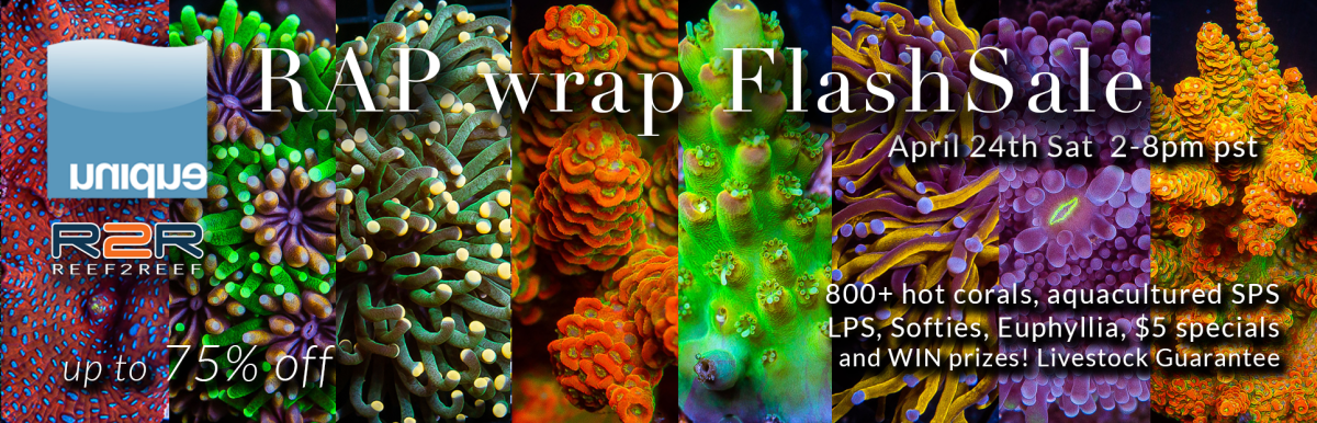 2-8-RAP-wrap-flashsale-april1-2023-R2R.png