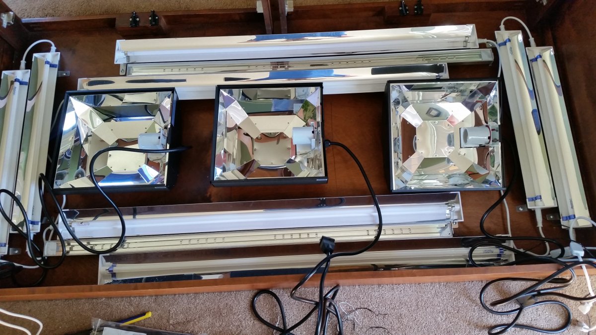 (20) Electrical.jpg